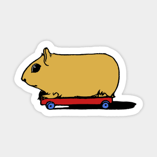 Cute Cartoon Guinea Pig / Hamster on Skateboard Sticker